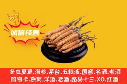 枣庄市峄城回收冬虫夏草